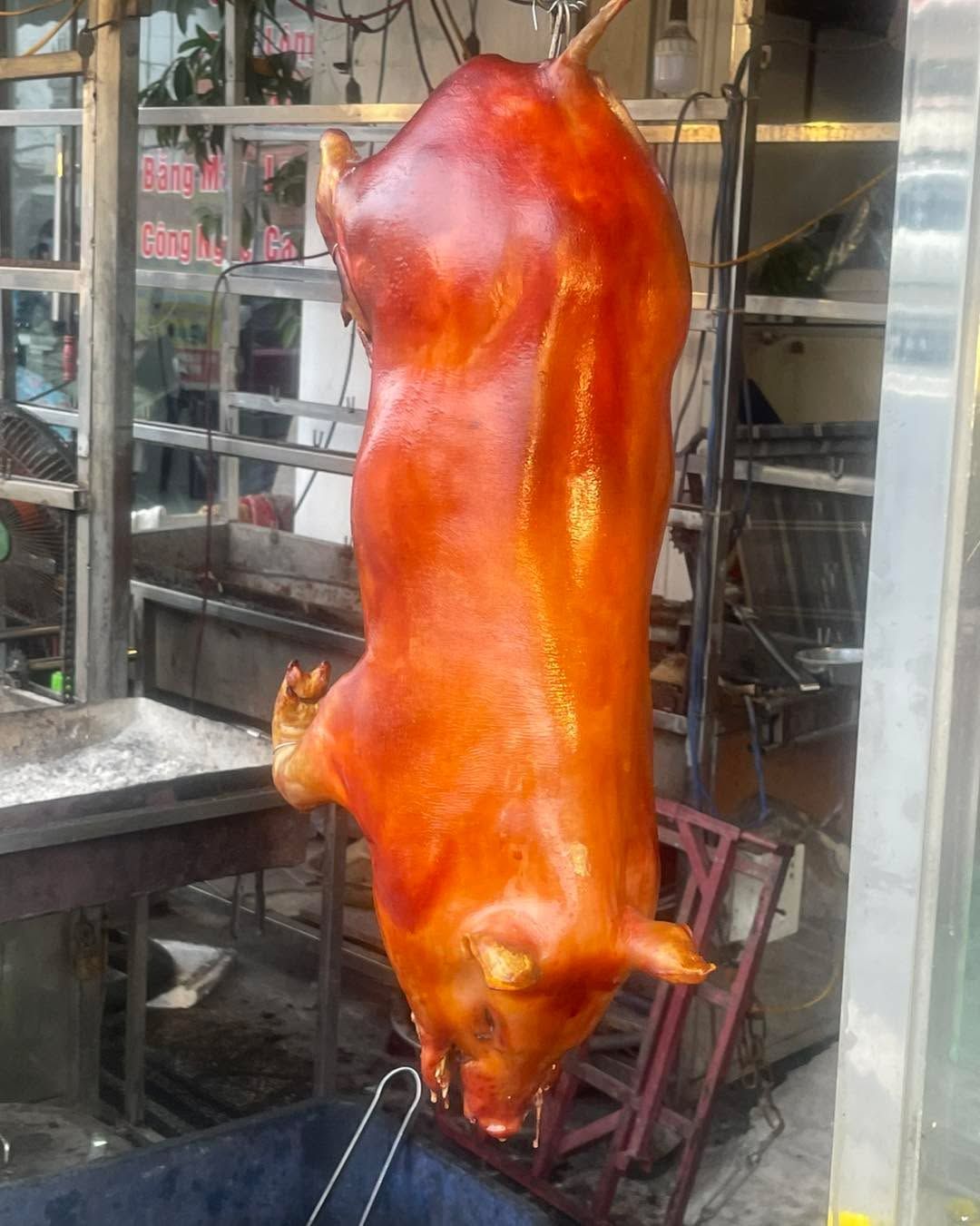 Heo Sữa Quay Trọng Lượng 5.5kg